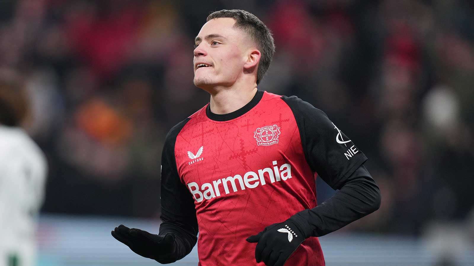 将指导球迷 将指导球迷