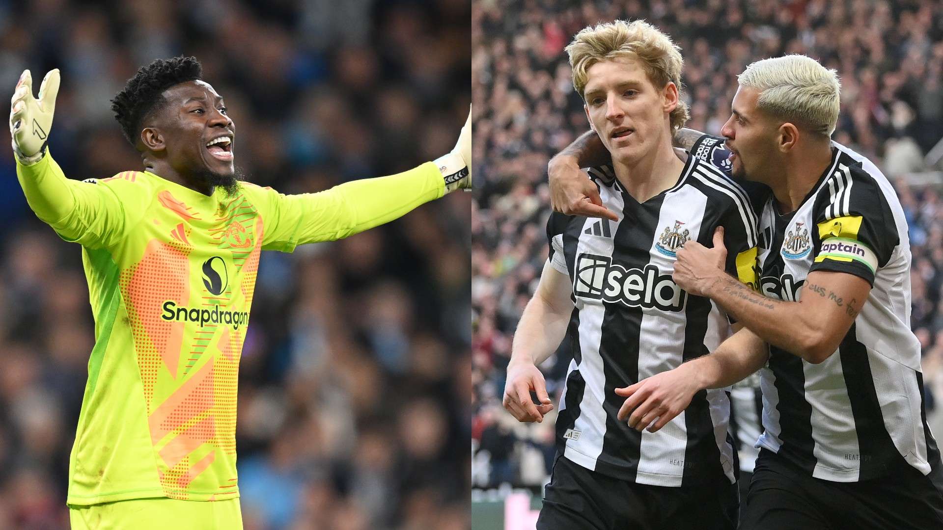 僅牽動了奧 僅牽動了奧