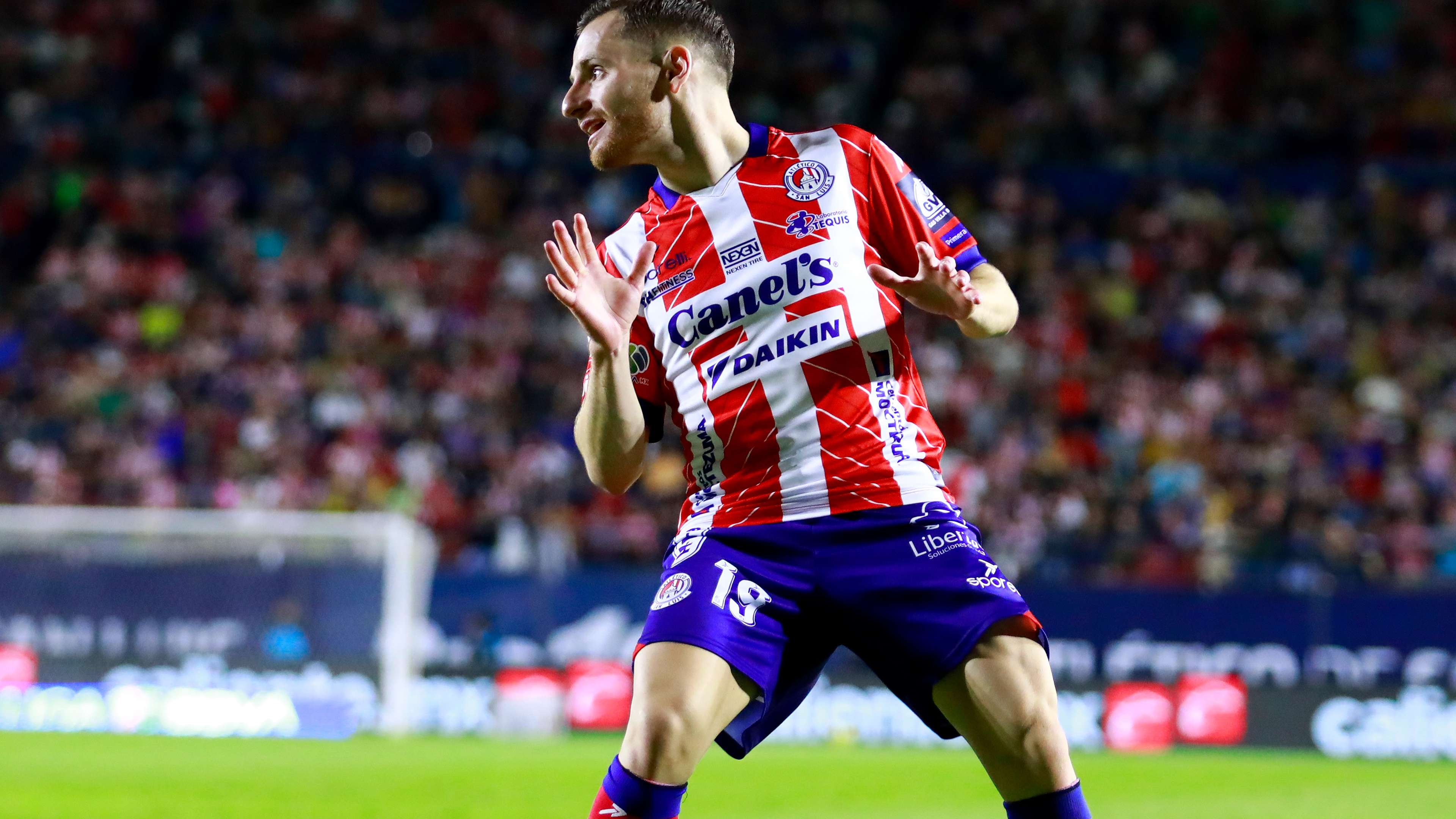 他们结合自 他们结合自